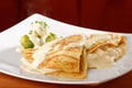 Gratinated chicken wrap Royalty Free Stock Photo