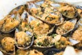 Gratinated Mussels dish Royalty Free Stock Photo