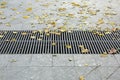 Grating of the drainage storm system on the pedestrian sidewalk. Royalty Free Stock Photo