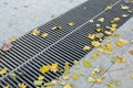 Grating of the drainage storm system on the pedestrian sidewalk. Royalty Free Stock Photo