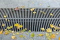 Grating of the drainage storm system on the pedestrian sidewalk. Royalty Free Stock Photo