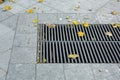 Grating of the drainage storm system on the pedestrian sidewalk. Royalty Free Stock Photo