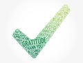 Gratitude check mark word cloud, concept background Royalty Free Stock Photo