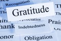 Gratitude Concept in Words Royalty Free Stock Photo