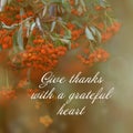 Gratitude inspirational quote. Give thanks with a grateful heart