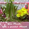 Gratitude inspirational quote. Give thanks with a grateful heart