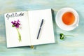 Gratitude journal with a pen, a flower, and a cup of tea, shot from the top Royalty Free Stock Photo