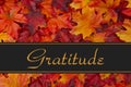 Gratitude Message Royalty Free Stock Photo