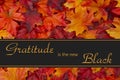 Gratitude Message Royalty Free Stock Photo