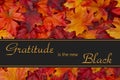 Gratitude Message