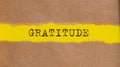 GRATITUDE message written under torn paper. Business, technology, internet concept