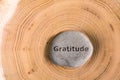 Gratitude in stone on tree Royalty Free Stock Photo