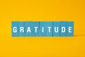 Gratitude - word concept on building blocks