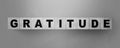 Gratitude word on wooden cubes in black and white. Donation and charity concept