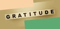 Gratitude word on wooden cubes in black and white. Donation and charity concept