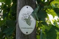 Vine plants with a `Grauburgunder` sign on a vineyard