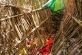 Grave of bamboo sticks in cemetery in Terunyan village. Traditional Kuburan in Bali, Indonesia. Bodies are buried above ground. Royalty Free Stock Photo