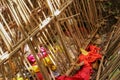 Grave of bamboo sticks in cemetery in Terunyan village. Traditional Kuburan in Bali, Indonesia. Bodies are buried above ground.