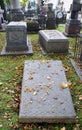 Grave on a cemetery.