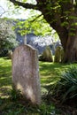 Grave churchyard graveyard