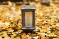 grave covered with autumn leaves