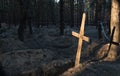 Grave cross at a forest burial in Izium, Ukraine