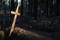 Grave cross at a forest burial in Izium, Ukraine