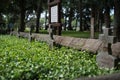 Grave Cross stones cross on the grass