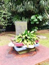 The grave of a Dutch scientist who studied botany in Indonesia Royalty Free Stock Photo