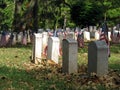 Grave flags Royalty Free Stock Photo