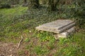 A grave in a forest with the lid open