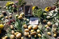 Grave of Friedrich, the great with potatoes