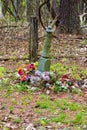 Grave Marker in an Old Forgotten Cemetery Royalty Free Stock Photo