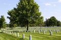 Grave Markers at Arlington 810894