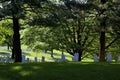 Grave Markers at Arlington 810915