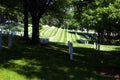 Grave Markers at Arlington 811047