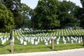 Grave Markers at Arlington 811056