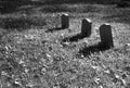 Grave Markers Royalty Free Stock Photo