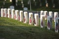 Grave markers with flags at Arlington National Cemetery on Memorial Day Royalty Free Stock Photo