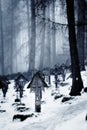 Grave markers forest cemetery Royalty Free Stock Photo