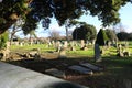 Grave markers in old graveyard