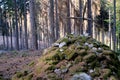 Grave mound made of stones covered with green moss, wooden cross at top, an unknown old grave for pilot who died in Taunus