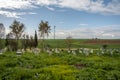 Grave of a Peshmerga KDPI Iran