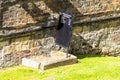 Grave of ravens in the Tower of London.