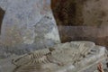 The grave sarcophagus of Saint Nicholas the Wonderworker of Myra Royalty Free Stock Photo