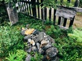 Grave site near Barkerville.