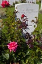 Grave of a Soldier of the Great War Royalty Free Stock Photo