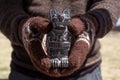 Grave statue, Puma Andino of Tiwanaku - Bolivia