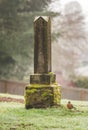 Grave Stone at Cemetery Royalty Free Stock Photo