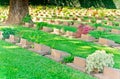 Grave Stone at World War II Cemetery Royalty Free Stock Photo